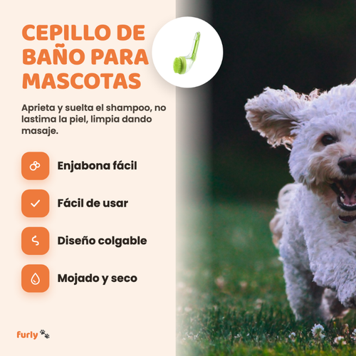 Cepillo con Shampoo Integrado