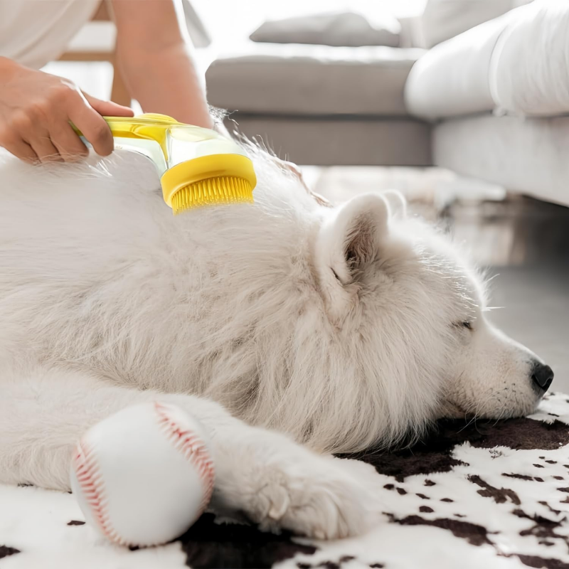 Cepillo con Shampoo Integrado
